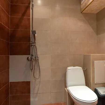 Vitosha Downtown Sofya