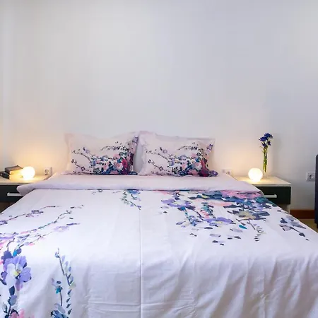 Vitosha Downtown Apartament