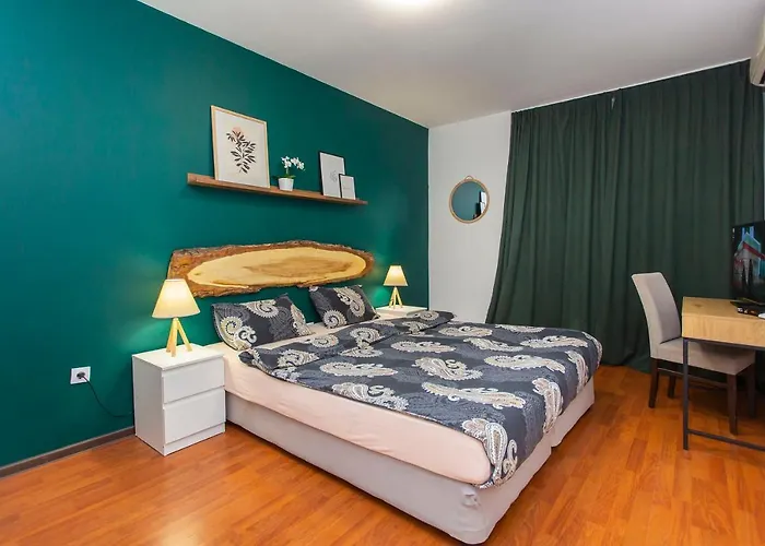 公寓 维托莎市中心公寓酒店 *