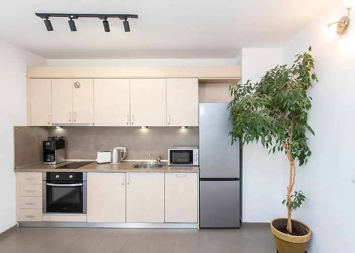 维托莎市中心公寓酒店