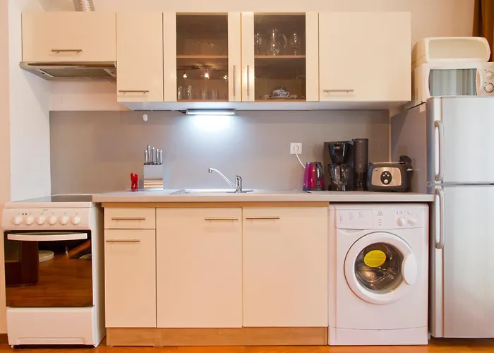 维托莎市中心公寓酒店 公寓 *