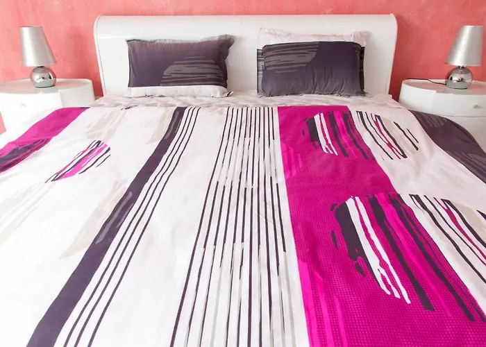 公寓 维托莎市中心公寓酒店 *