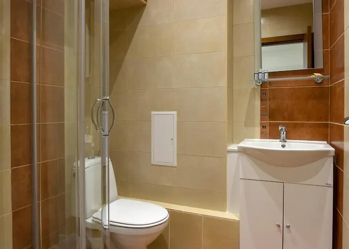 维托莎市中心公寓酒店 *