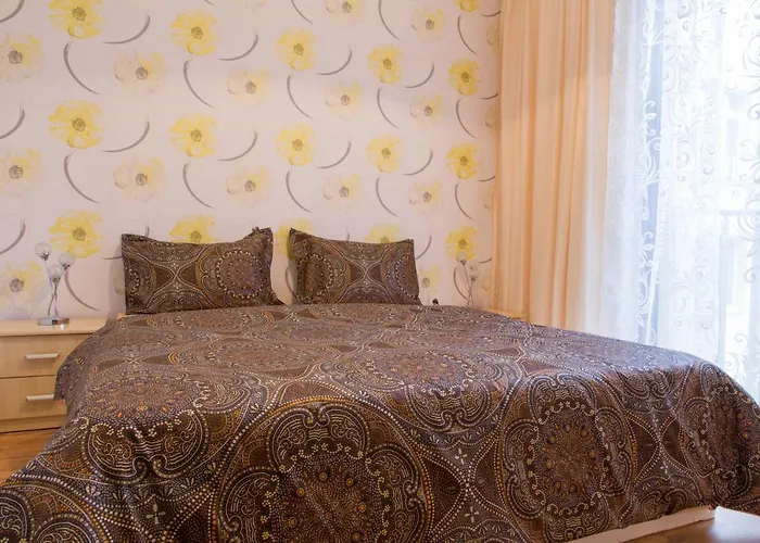 维托莎市中心公寓酒店 *