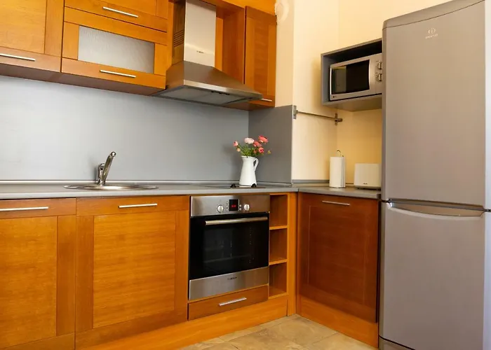 维托莎市中心公寓酒店 公寓 *